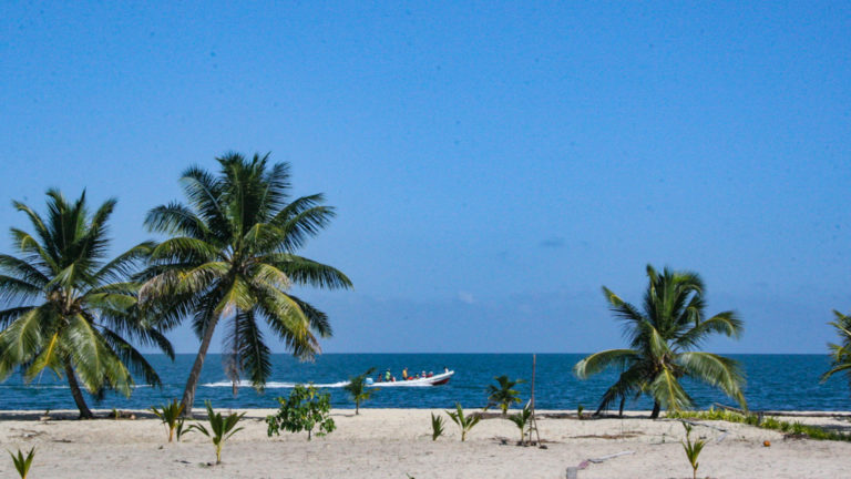 A white sand beach with palm trees and a dark blue sky and sea in Belize.