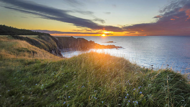 Sunset and grassy cliffs in Newfoundland