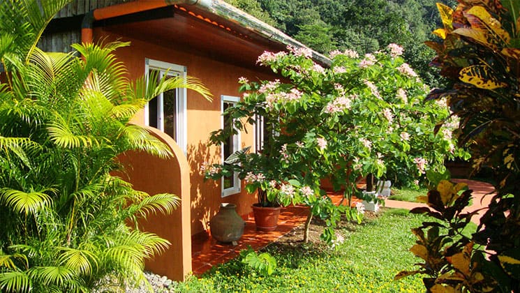 exterior of a room at the candelaria lodge in guatemala with grass and a flowering tree next to it