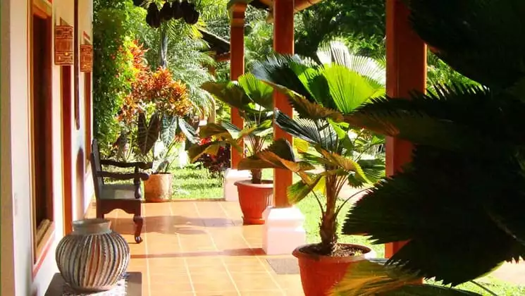 porch of a room at the candelaria lodge in guatemala with potted plants, pillars and lush foliage beyond it