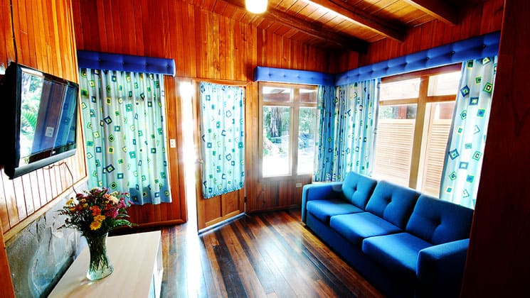 wood lined room at casa grande bambito with a blue couch and blue accents around the windows