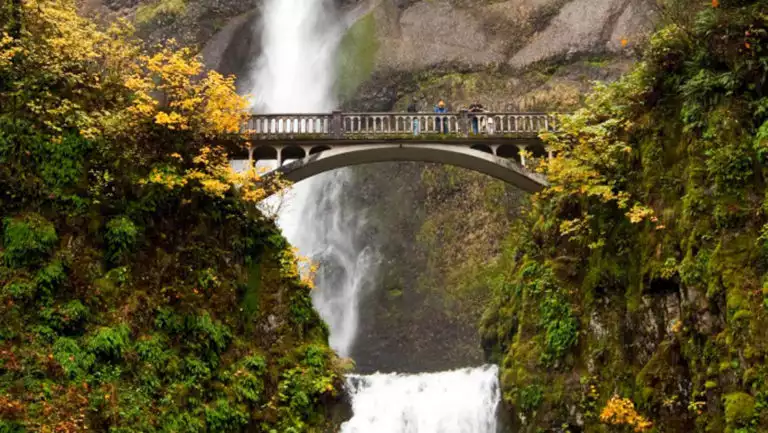 people standing on the bridge above multnomah falls in the pacific northwest on an overcast day with fall colored foliage around them