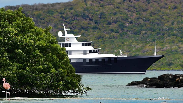 A rendering of a new Galapagos small ship, Conservation, emerging from behind a bush with a pink flamingo in the foreground