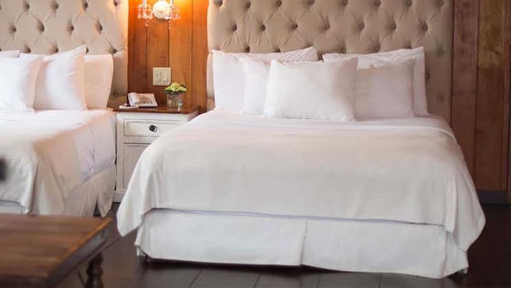 luxurious room at the finca lerida panama lodge with large white quilted beds and padded headboards