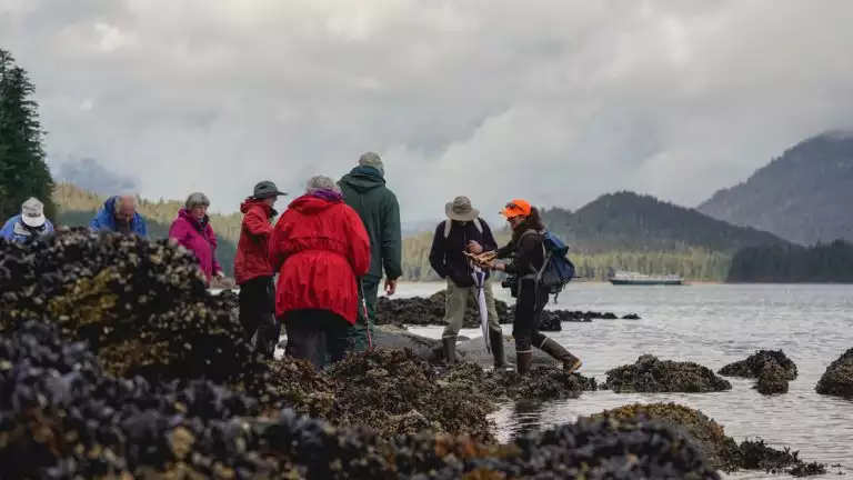 Hikers dressed in cold weather clothing exploring the low tides and sea creatures on a cloudy wet day