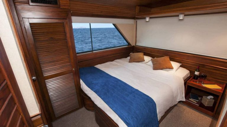 Letty stateroom Booby deck cabin with double bed, nightstand, reading light, closet and large window.