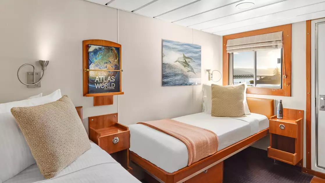 2 twin beds by view window & wooden bedside table in Category 2 cabin of Nat Geo Sea Bird & Sea Lion expedition ships.