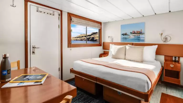 Large bed, desk, chair, large windows and door opening to outside on Nat Geo Sea Bird & Sea Lion expedition ships.