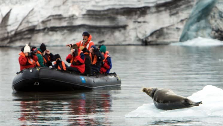 full zodiac passes nearby seal on ice in norway's fjords & arctic svalbard cruise