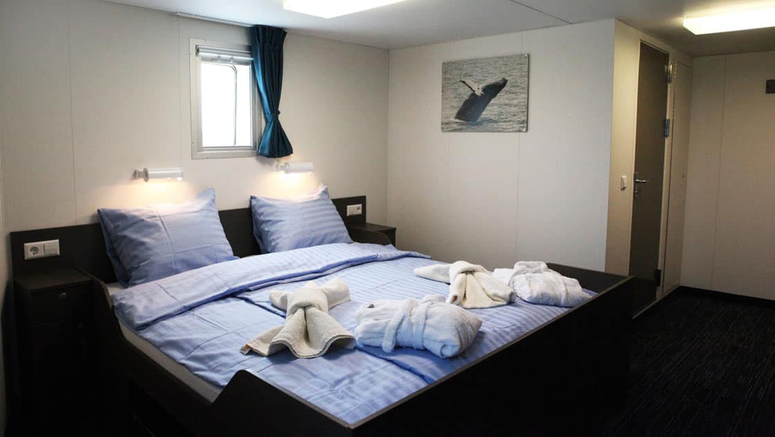 ortelius superior cabin with a large bed, window and picture of a whale on the wall