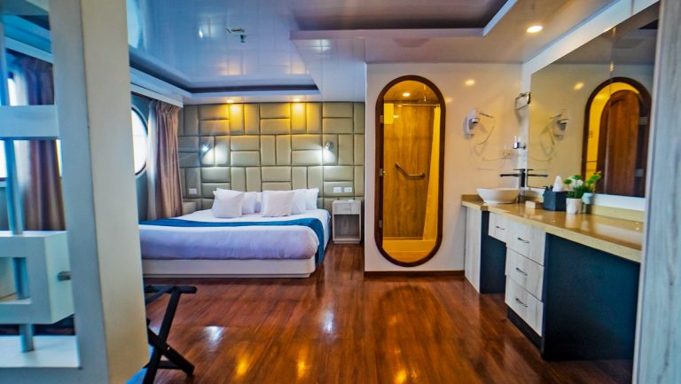 Suite on Petrel boat in Galapagos with wood floor, private bathroom, vanity, panoramic windows, king bed & seating area.