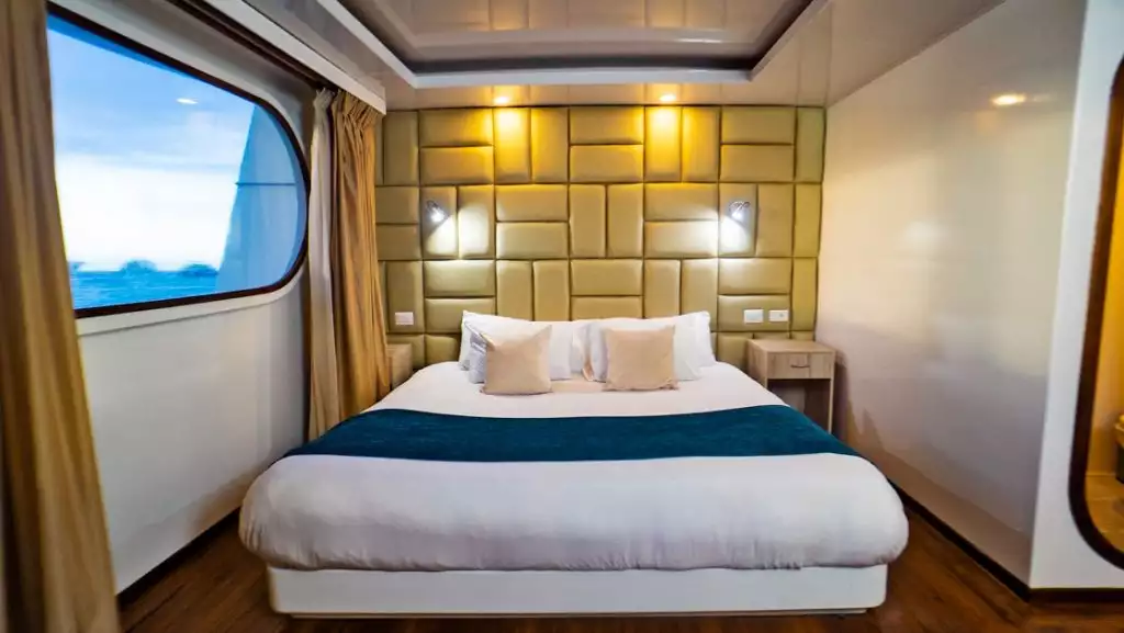 Golden Suite (fixed king-size bed) aboard Petrel