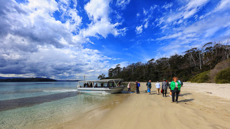 travelers step off of a skiff on the beach during the pristine tasmania small ship cruise on a sunny day