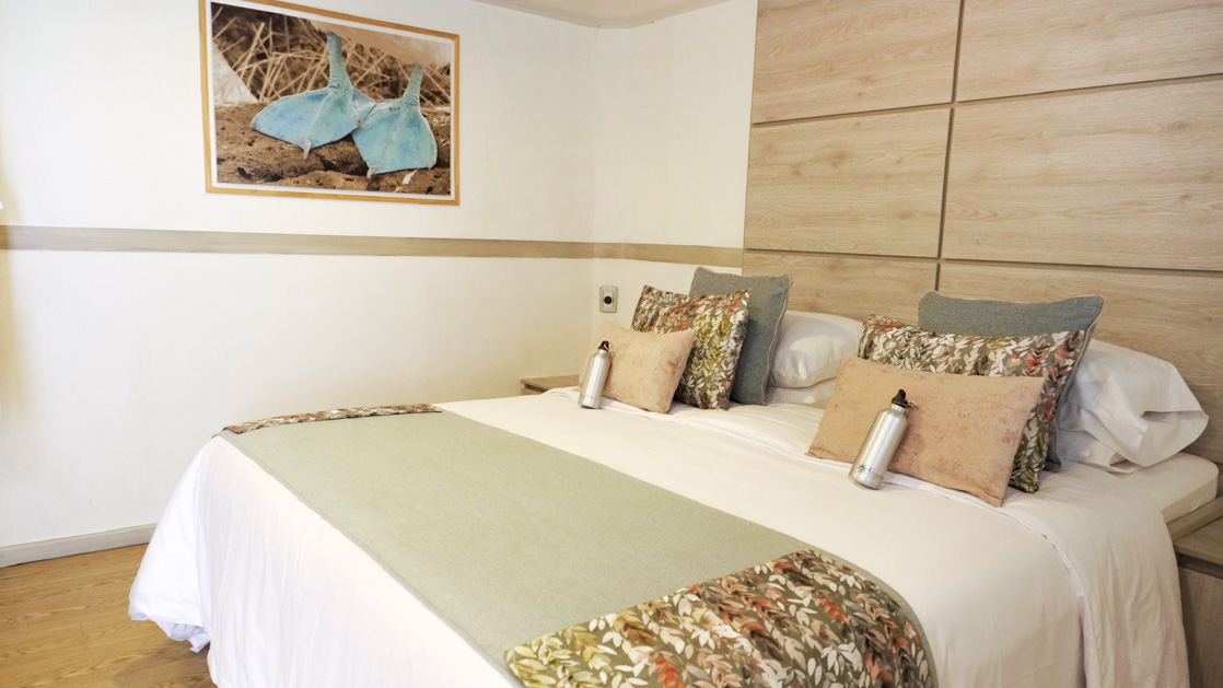 A large bed on featured within a light and airy suite with natural wood tones and bedding aboard the Seaman Journey in the Galapagos
