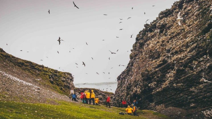 coastal birds fly over hikers resting by cliffside on spitsbergen highlights: expedition in brief arctic cruise