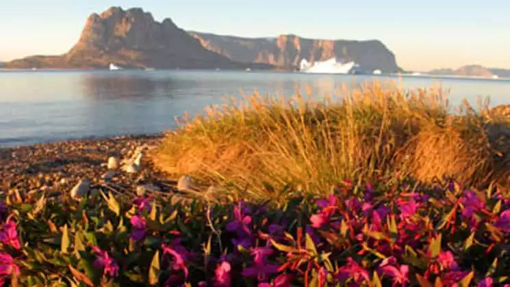 Photo by: Graham Charles/Quark Expeditions