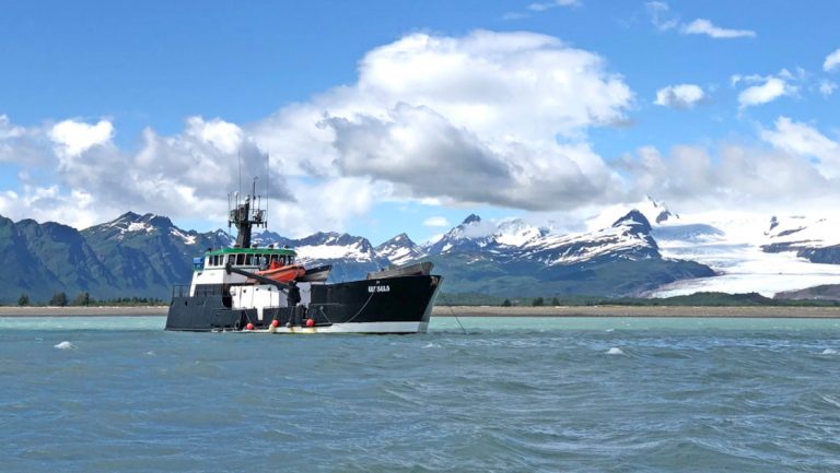 Starboard side of Ursus small ship cruising calm water in Alaska with black hull, white upper decks & fishing boat look.