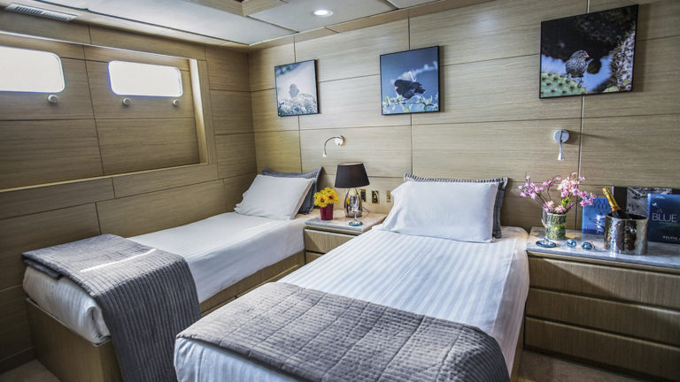 Stateroom with twin beds aboard WildAid's Passion.