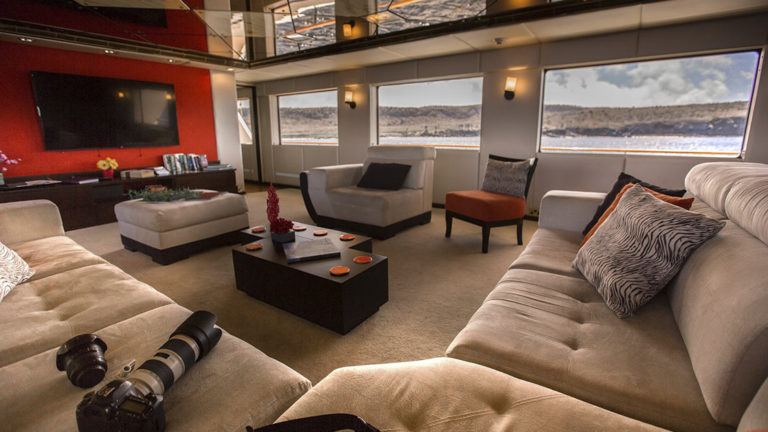 Living room aboard passion with couches, table, windows, and big screen tv