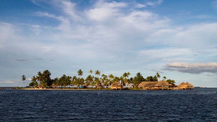 An island with grass huts and palm trees surrounded by water