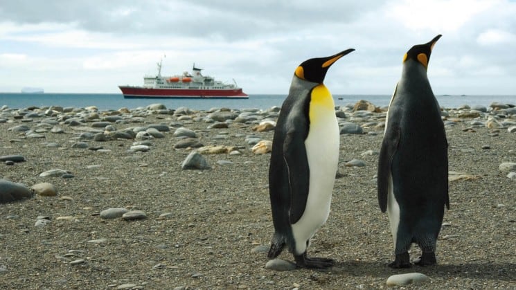 Two penguins on a beach with the M/S Expedition ship of the Spirit of Shackleton Aboard cruise in Antarctica