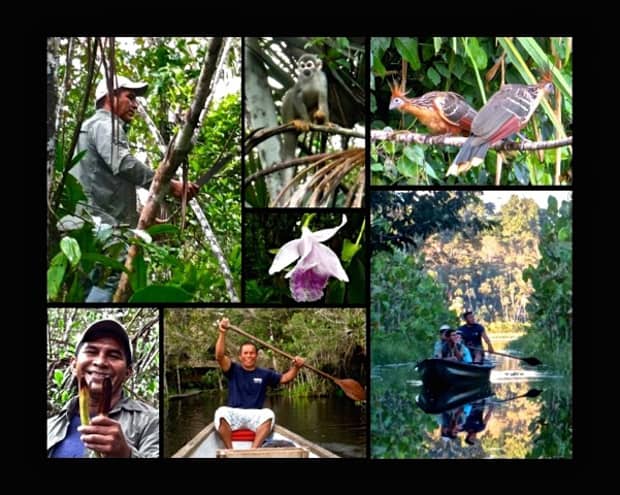Local guide bushwacking through the jungle, spider monkey on a branch, 2 hoatzin birds, wild orchid, happy guide canoeing, travelers canoeing on the Napo river in the Amazon.