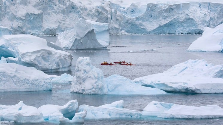 a group of kayaks navigate the ocean through icebergs in antarctica