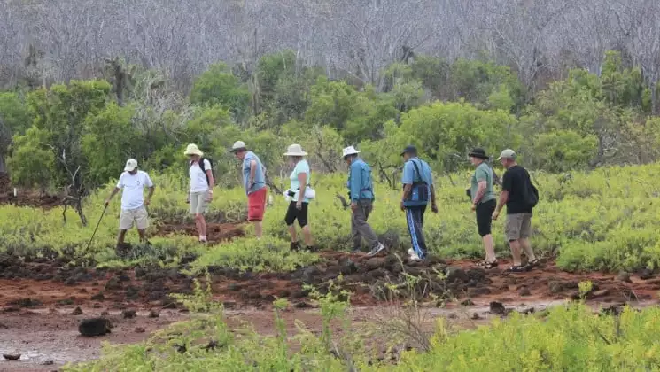 A group of passengers on the Coral cruise ships take a land excursion to hike a trail on the Galapagos Islands.