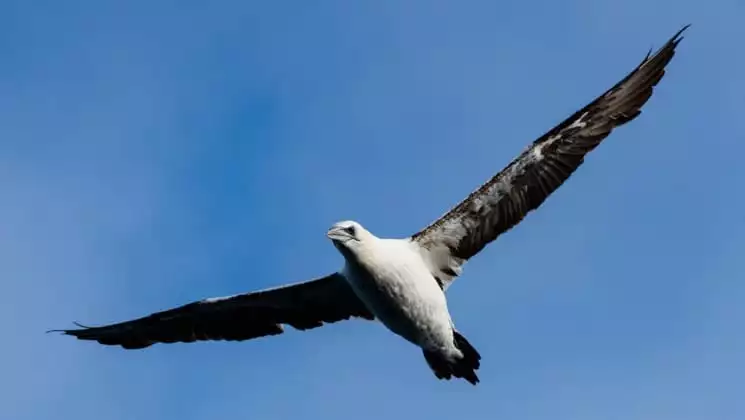 Photo by: Nicky Souness/Quark Expeditions