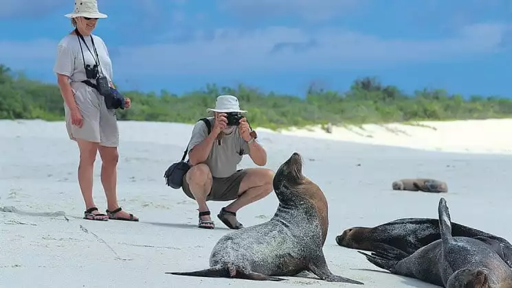 Two people admire and photograph sea lions that are sunbathing on the Galapagos Islands