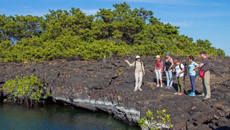 a group of guests from the Passion luxury cruise take an excursion to land to explore the Galapagos islands on lava rock