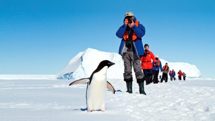A penguin waddles through the snow while a person holds a camera to take a picture of antarctica