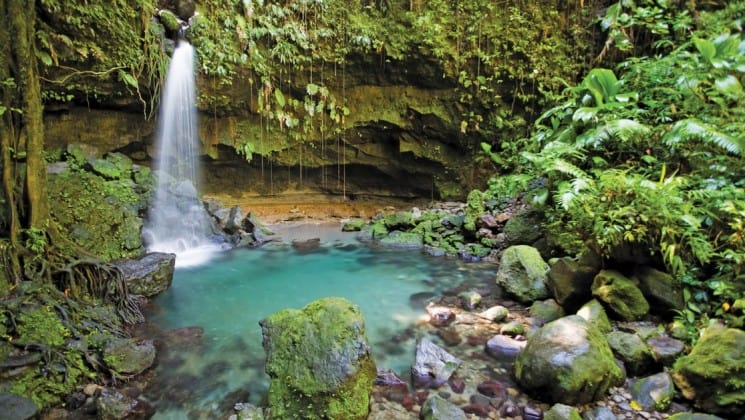 a waterfall cascades into a turquoise pool of water in the rainforest in barbados, an island in the caribbean