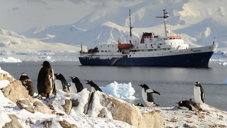 Penguins scamper on rocks in the foreground while a ship sails across the open sea in the background in antarctica