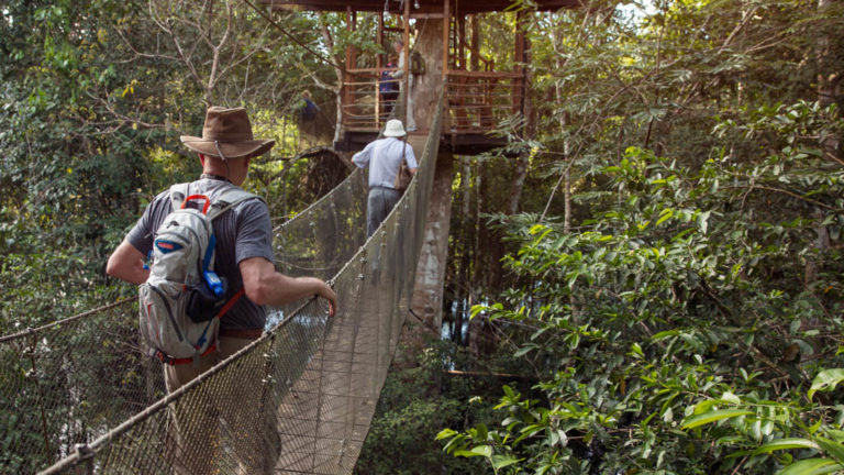 Two people walking across a suspension bridge to a hut across the canopy in the Pervuian Amazon rainforest