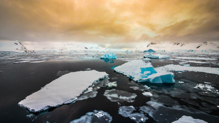 group of icebergs atop a dark antarctic ocean with a yellow cloudy sky above