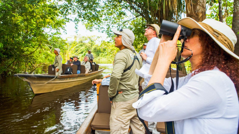 adventure travelers take pictures into the amazonian jungle canopy from small boats