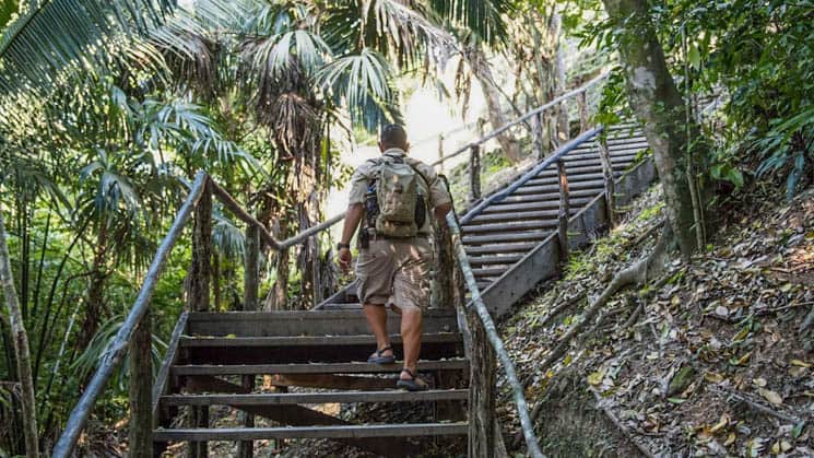 A Belize traveler walking up a set of stairs in the jungle.