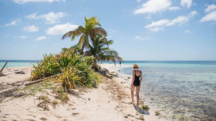 A Belize traveler walking along a white-sand beach with palm trees.