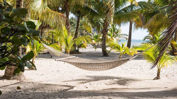A beach with a hammock and light sand and lots of palm trees.