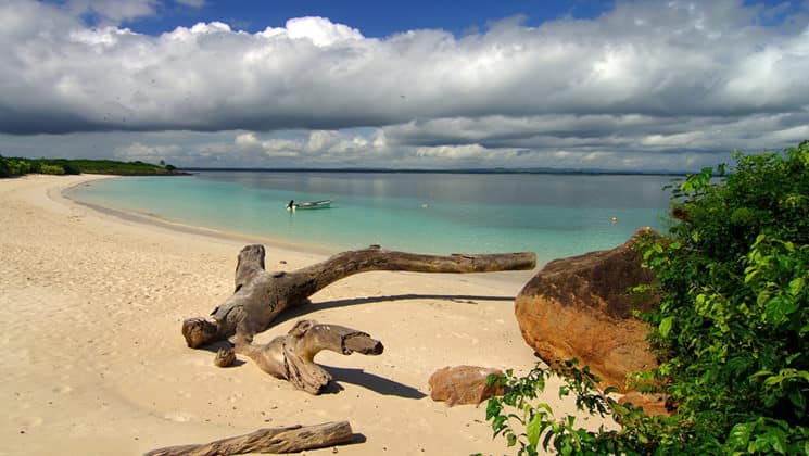 Remote white-sand beach with drift wood in Panama