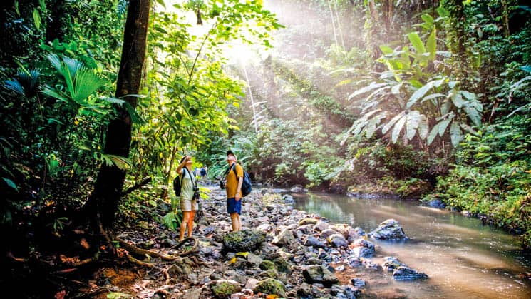 Travelers hiking on a costa rica jungle tour in Corcovado National Park with a stream next to them and sunbeams coming through the green canopy