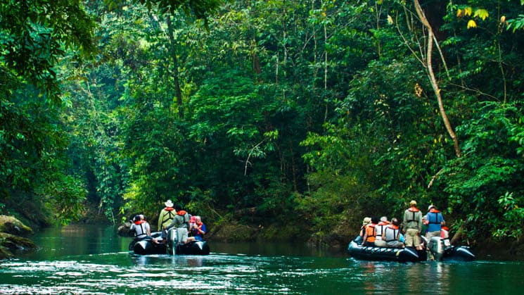 adventure travelers in zodiac boats cruise down a jungle river in corcovado national park in costa rica
