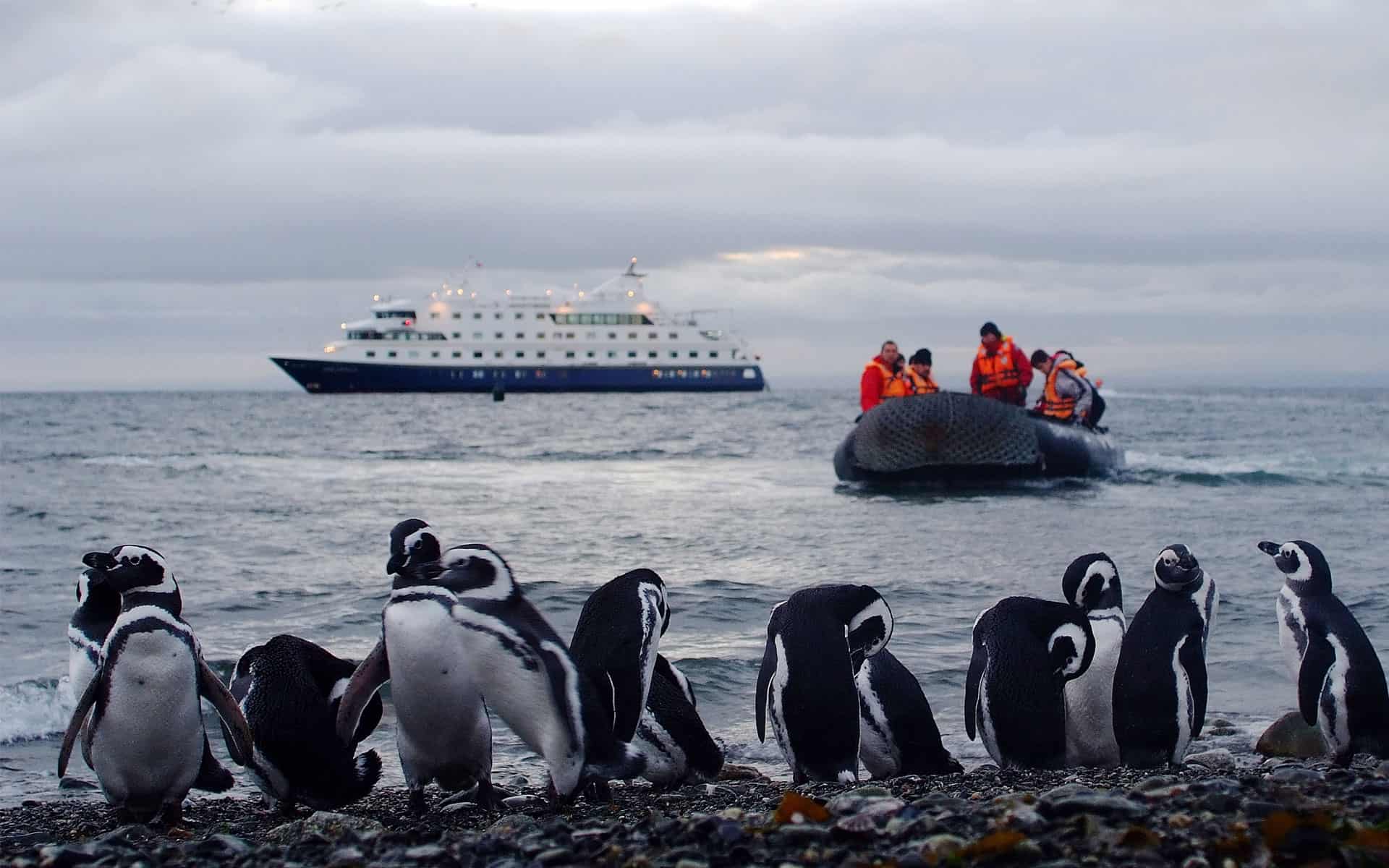 Two black and white penguins stand on shore as a futuristic and modern looking white Antarctica cruise ship navigates the ocean past them.