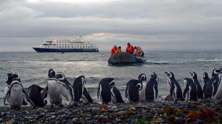people on a zodiac skiff travel from a patagonia small ship to shore, where a group of penguins is standing
