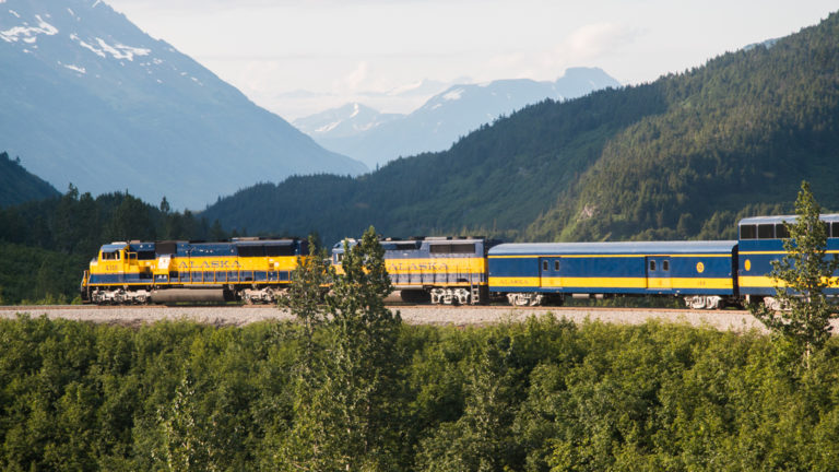 Blue and yellow alaska railroad train going through green forest with a mountain behind