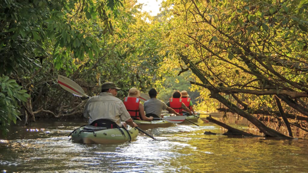 Small ship cruise passengers on a kayak excursion in the ecuadorian amazong paddling down a narrow stretch of river lined with trees on both sides