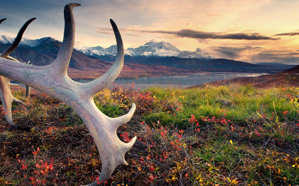 The majesty of the Alaska Grand Adventure will inspire and move your heart as you take in the dramatic landscapes of Alaska