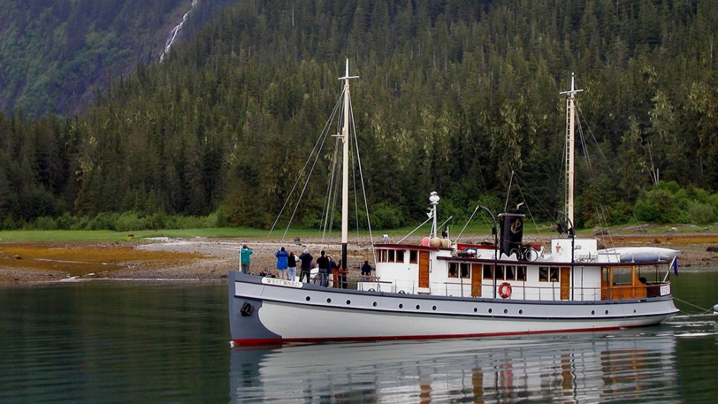white wooden ship westward floats close to the shore edge, guests gather on bow watching bears on shore in Alaska