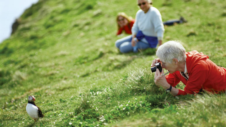 People laying on the grass to capture a close up shot of a puffin in scotland